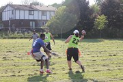 OTFL Gallery Image